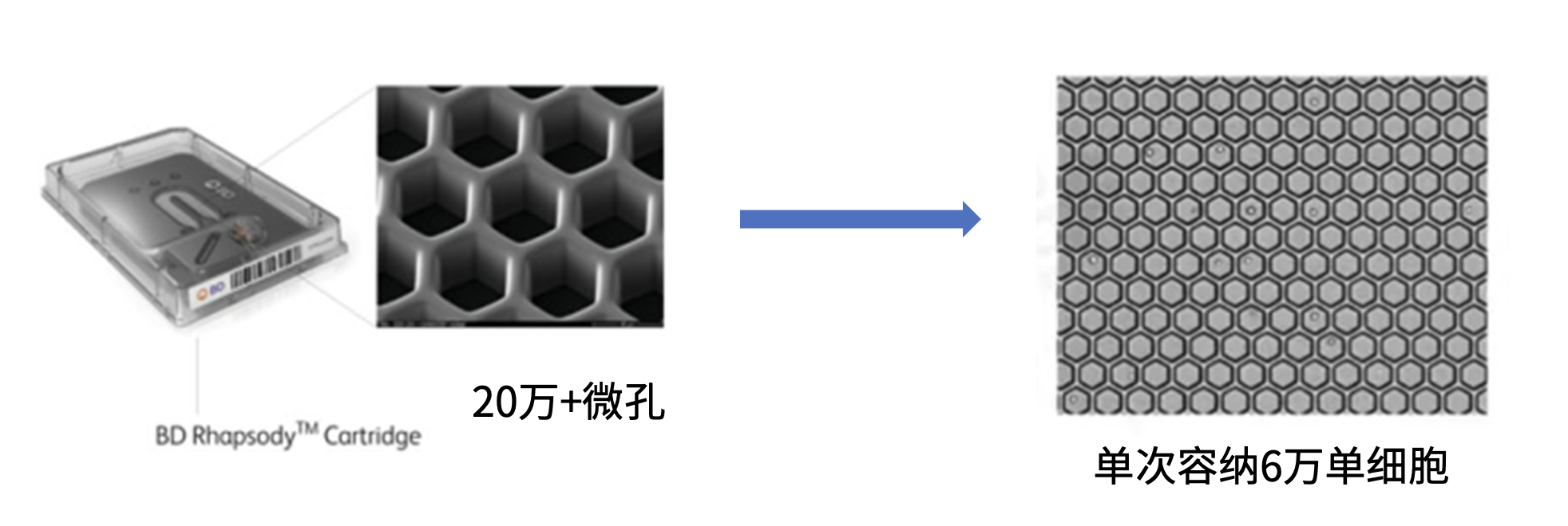 截屏2025-07-09_15.43.21.png